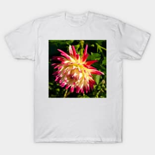 Dahlia T-Shirt